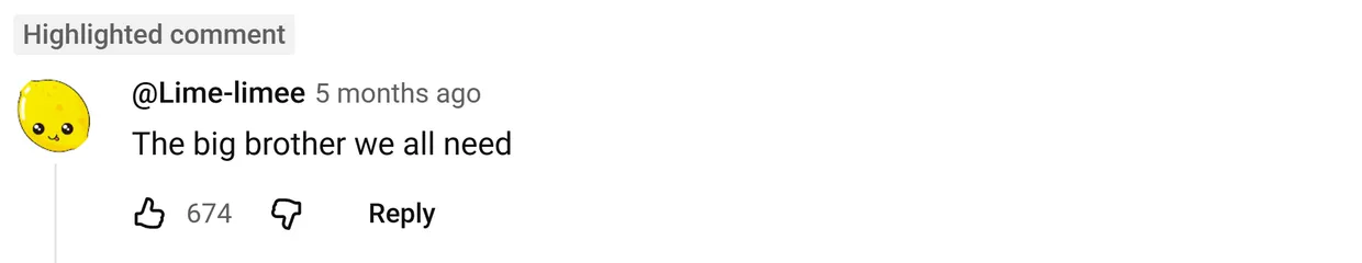 YouTube comment by @Lime-limee: The big brother we all need